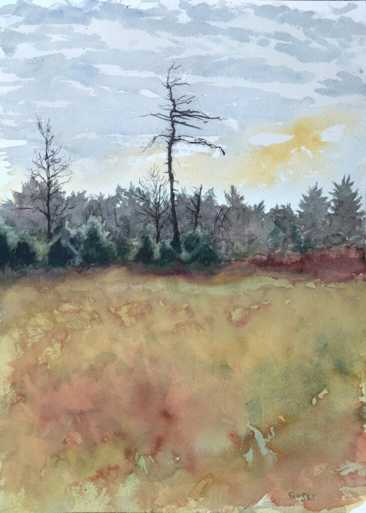 Dead Pine Morning - 2024 - watercolor -  contemporary wall art painting available for sale