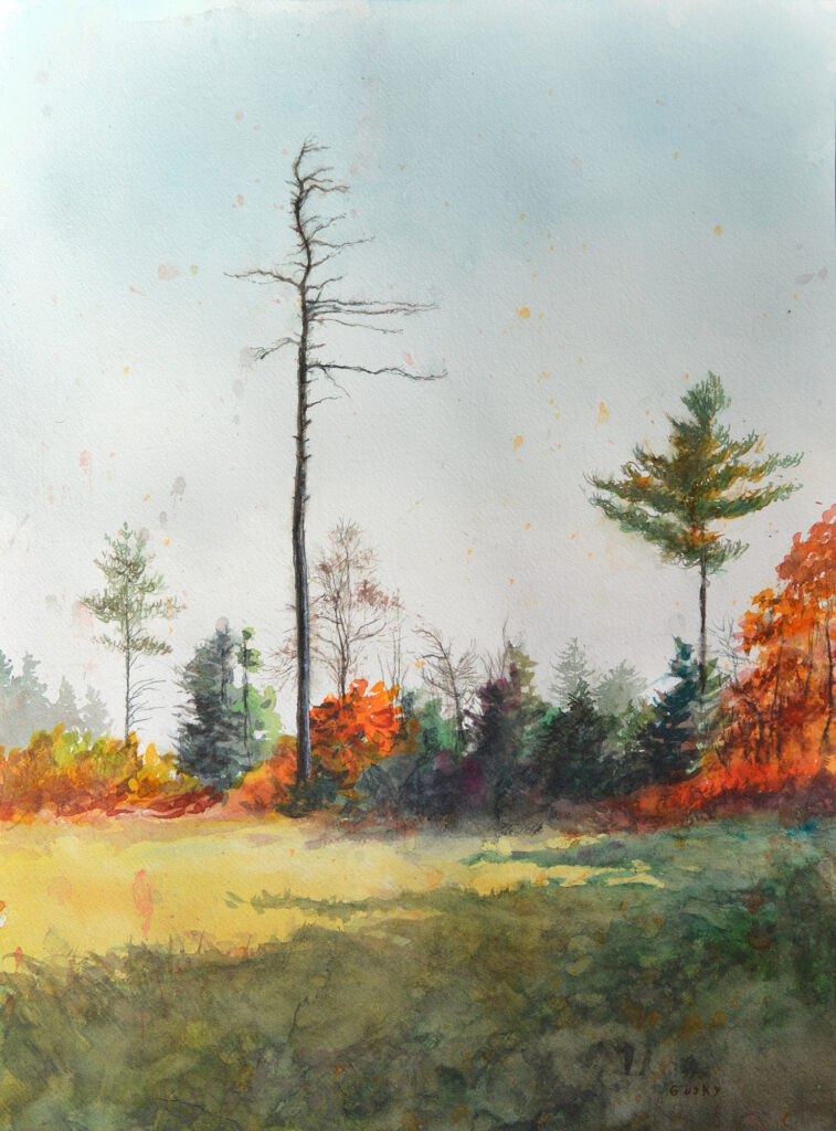 Dead Pine - 2024 - watercolor -  contemporary wall art painting available for sale