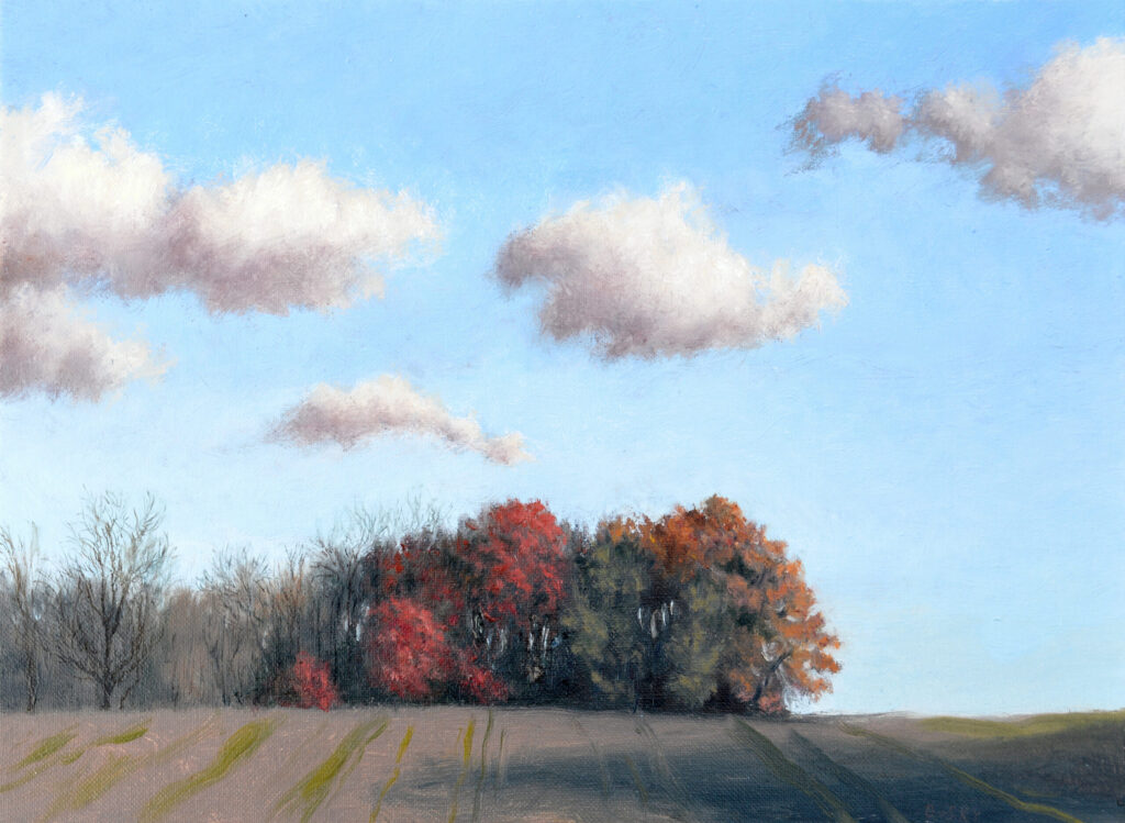 A small realistic naturalistic landscape oil painting: a copse of trees clinging to autumn leaves crests the hill of a farmed field planted with strips of green, all beneath a sky of cobalt and turquoise festooned with fuzzy peach-tinted clouds