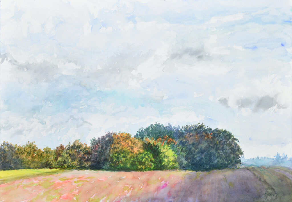 Medium-size watercolor of a clump of trees across a freshly plowed field beneath a smoky sky, cloud shadows crossing the landscape, in an assortment of greens, pinks, and cerulean, turquoise, and cobalt blues.