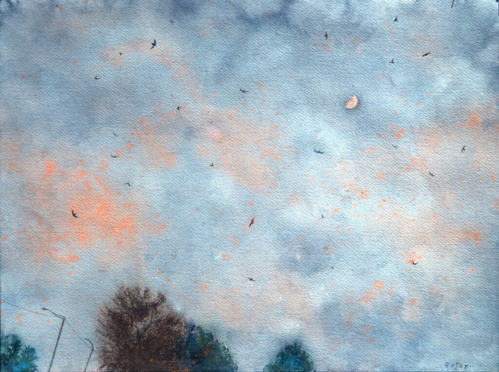 Swallows at Sunset - 2024 - watercolor -  contemporary wall art painting available for sale