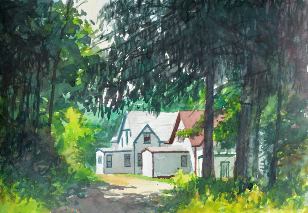 two white cottages visible at the end of a dirt road beneath towering hemlocks and spruce