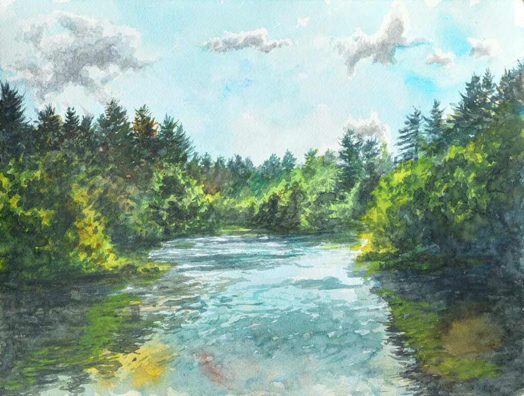 Small overgrown pond seen from the edge, looking into the sun - smattering of backlit clouds
